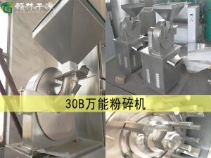 30B 萬能粉碎機(jī)